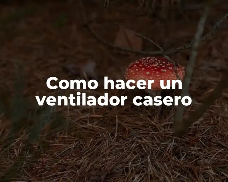 Como hacer un ventilador casero
