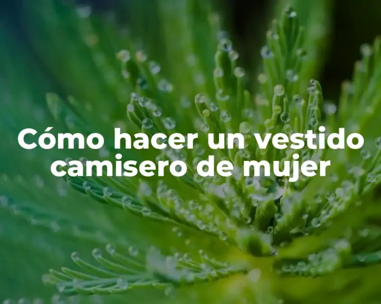 Cómo hacer un vestido camisero de mujer