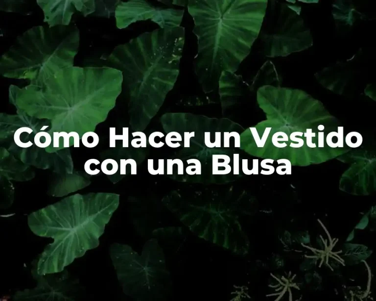 Cómo Hacer un Vestido con una Blusa
