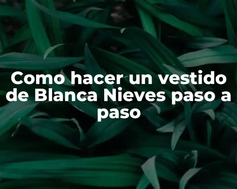 Como hacer un vestido de Blanca Nieves paso a paso