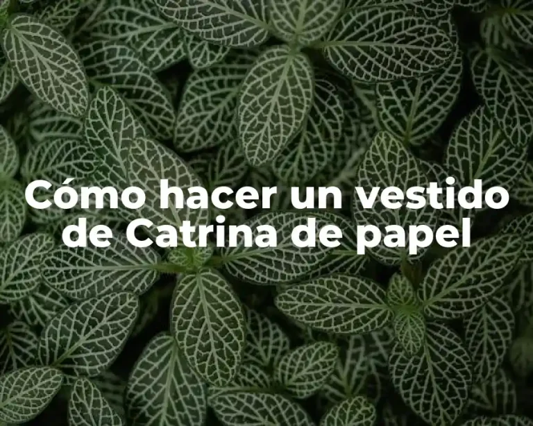 Cómo hacer un vestido de Catrina de papel