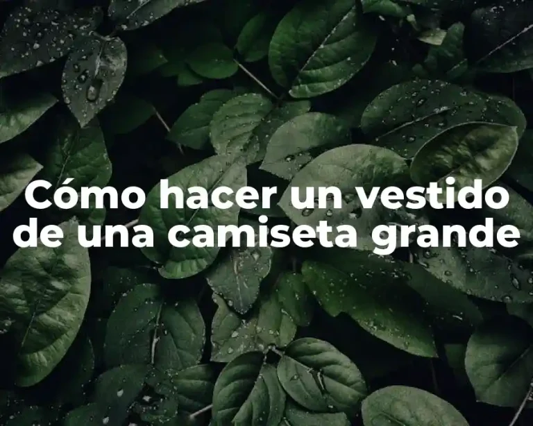 Cómo hacer un vestido de una camiseta grande