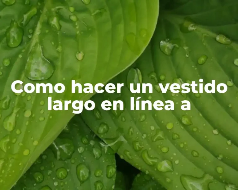 Como hacer un vestido largo en línea a