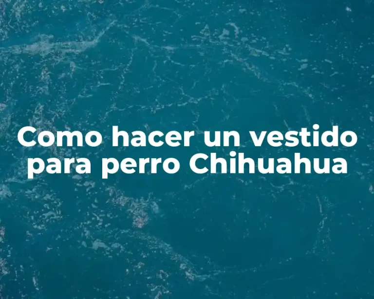 Como hacer un vestido para perro Chihuahua