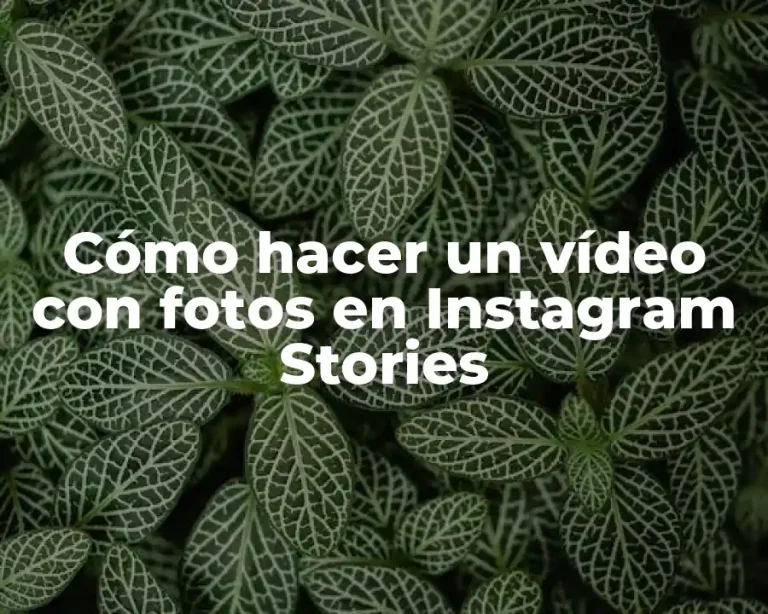 Cómo hacer un vídeo con fotos en Instagram Stories