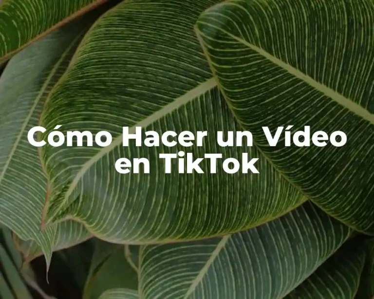 Cómo Hacer un Vídeo en TikTok