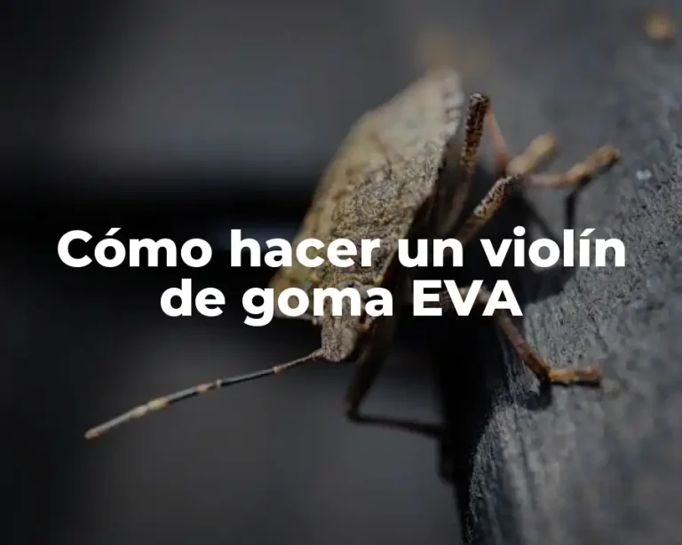 Cómo hacer un violín de goma EVA