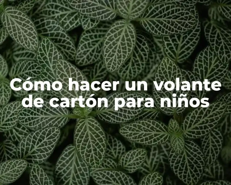 Cómo hacer un volante de cartón para niños