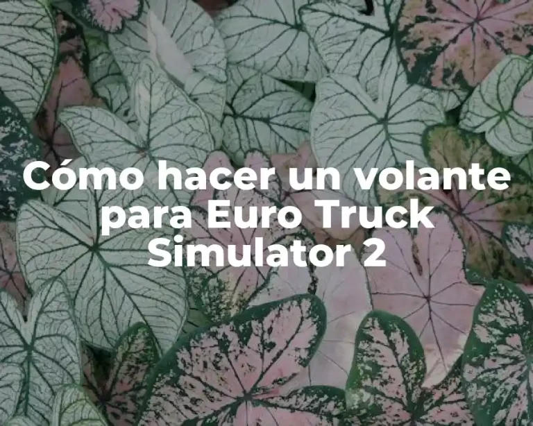 Cómo hacer un volante para Euro Truck Simulator 2