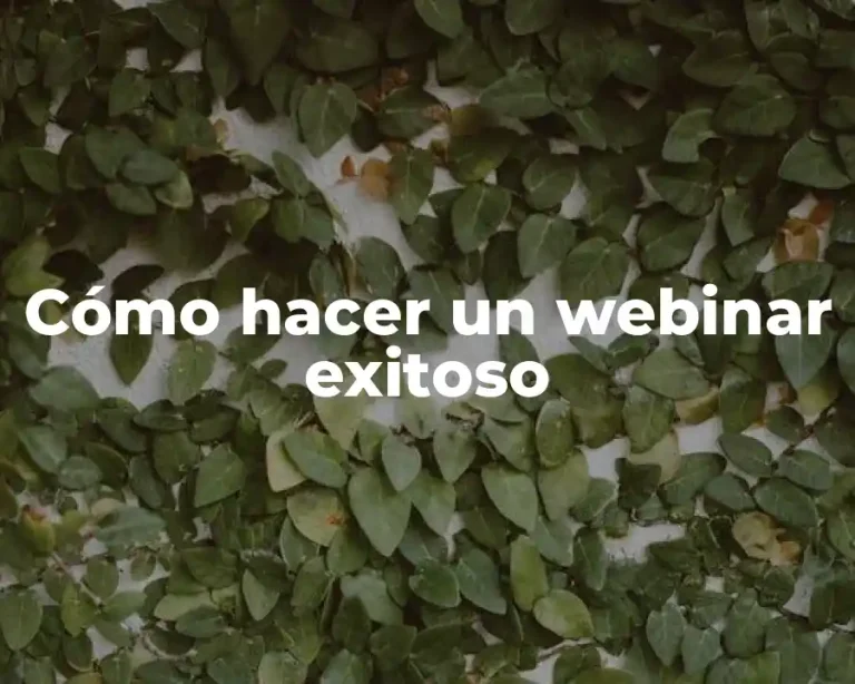 Cómo hacer un webinar exitoso
