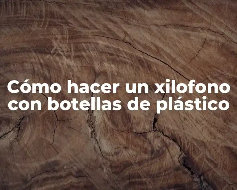 Cómo hacer un xilofono con botellas de plástico