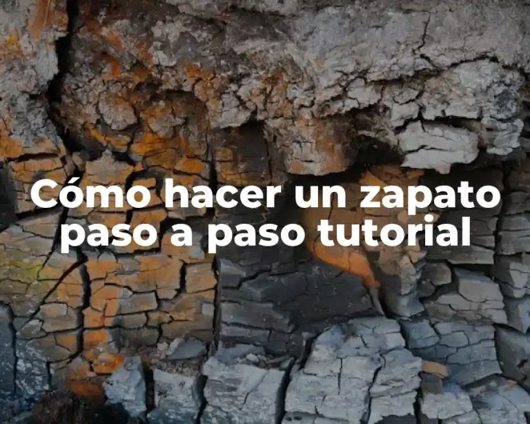 Cómo hacer un zapato paso a paso tutorial