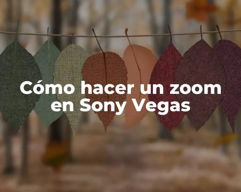 Cómo hacer un zoom en Sony Vegas