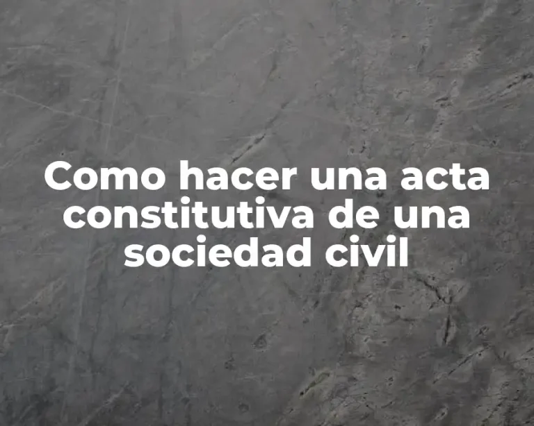 Como hacer una acta constitutiva de una sociedad civil