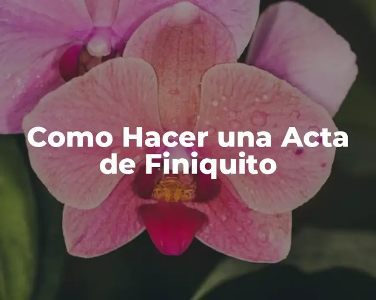 Como Hacer una Acta de Finiquito