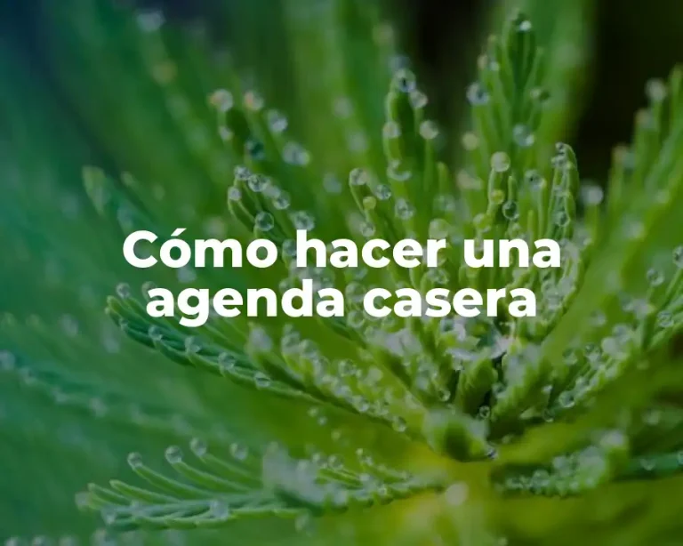 Cómo hacer una agenda casera