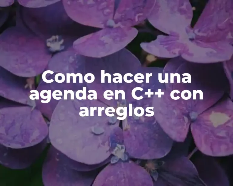 Como hacer una agenda en C++ con arreglos