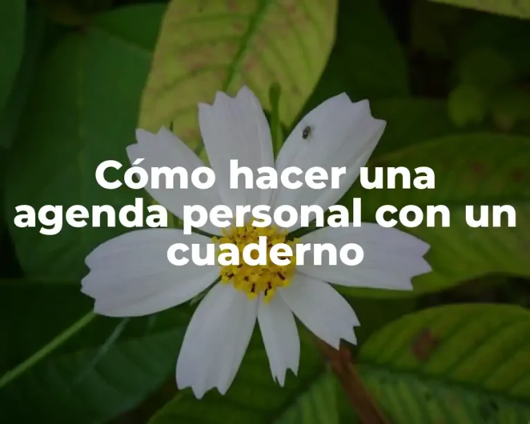 Cómo hacer una agenda personal con un cuaderno