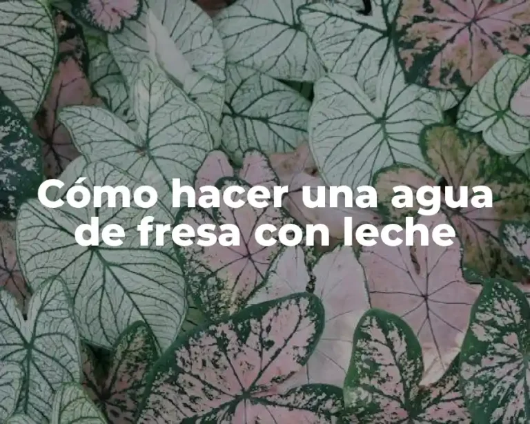 Cómo hacer una agua de fresa con leche