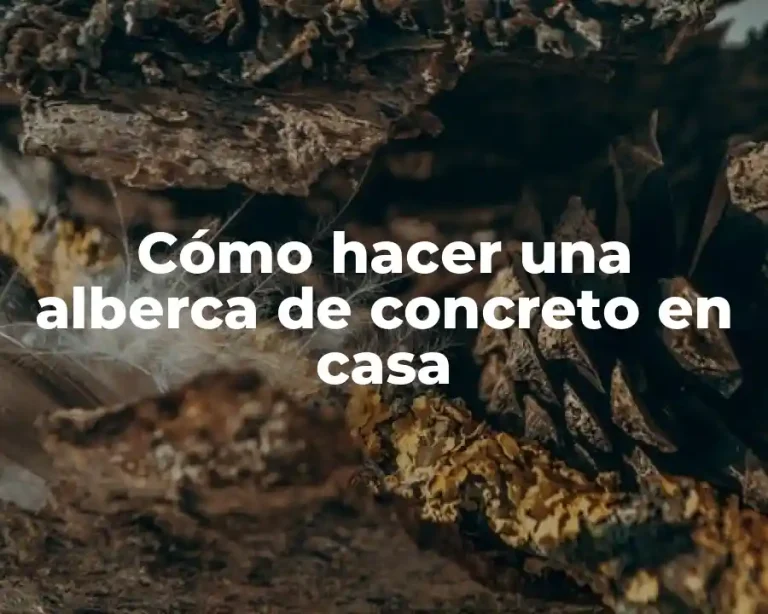 Cómo hacer una alberca de concreto en casa