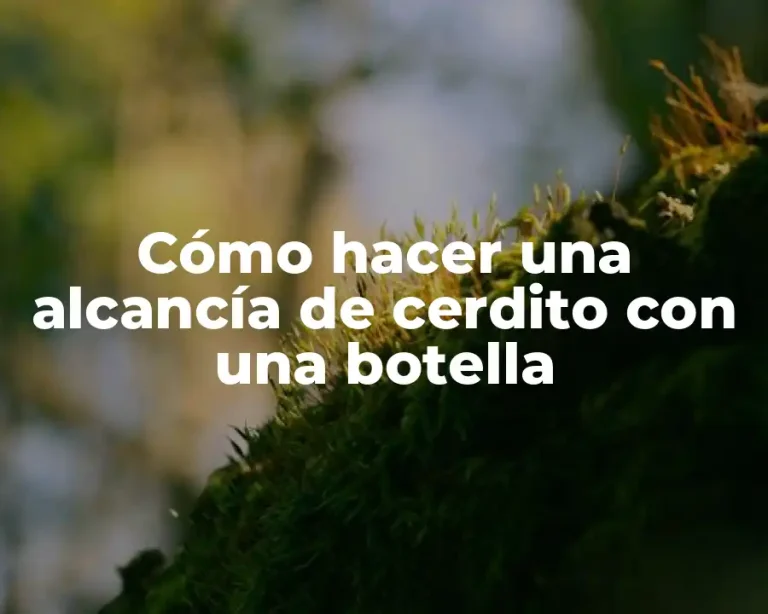 Cómo hacer una alcancía de cerdito con una botella
