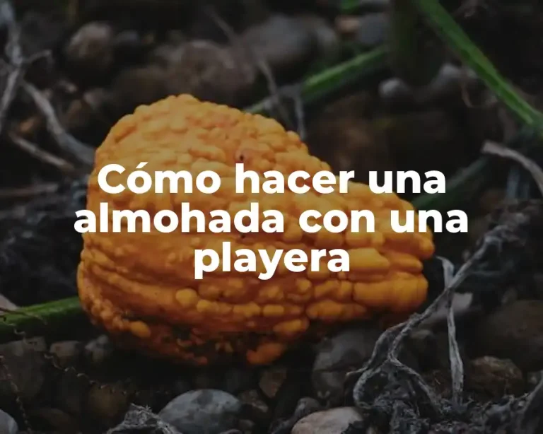 Cómo hacer una almohada con una playera