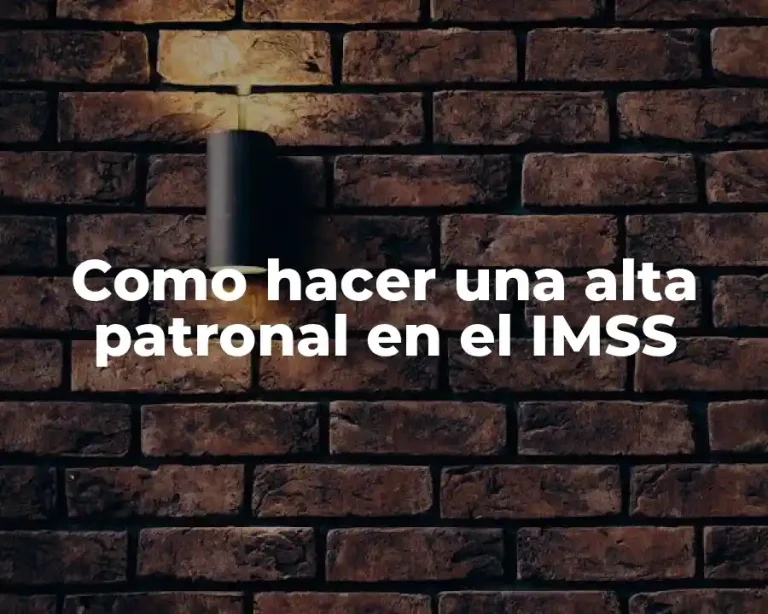 Como hacer una alta patronal en el IMSS