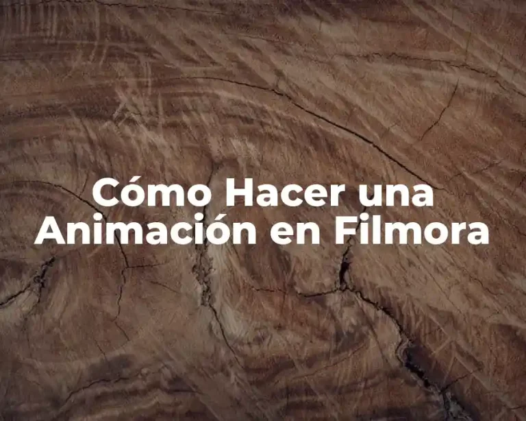 Cómo Hacer una Animación en Filmora