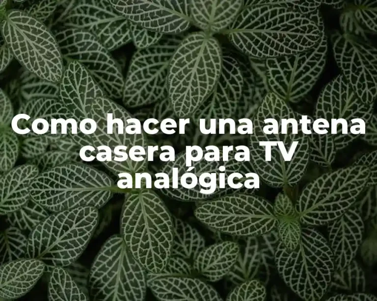 Como hacer una antena casera para TV analógica