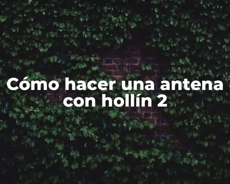Cómo hacer una antena con hollín 2
