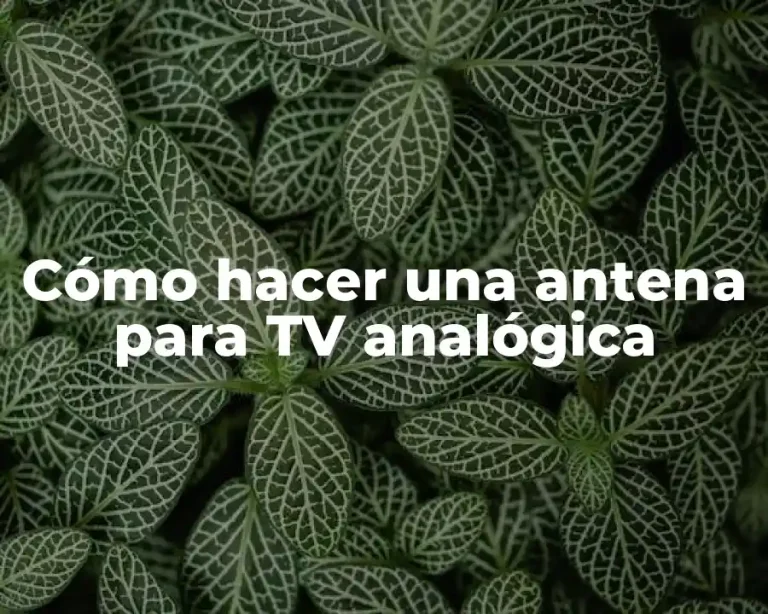 Cómo hacer una antena para TV analógica