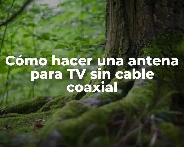 Cómo hacer una antena para TV sin cable coaxial