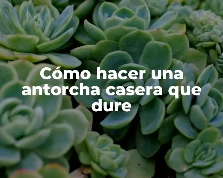 Cómo hacer una antorcha casera que dure
