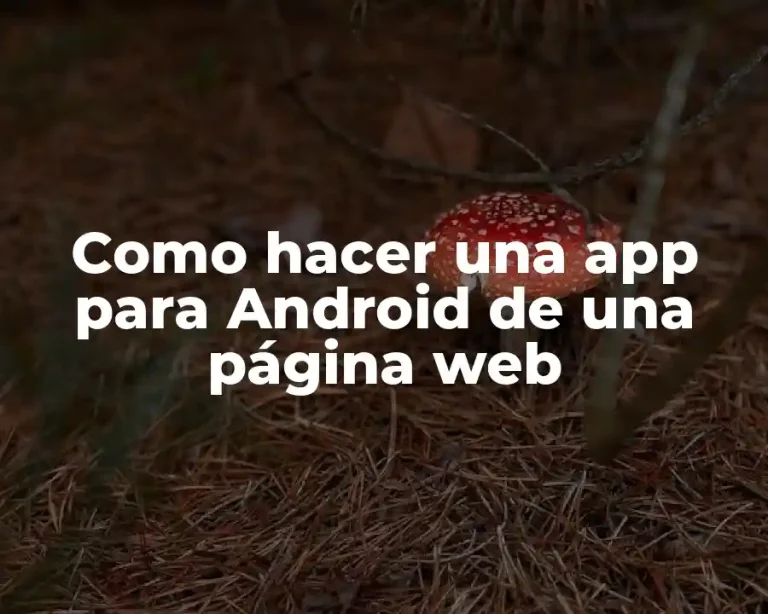 Como hacer una app para Android de una página web