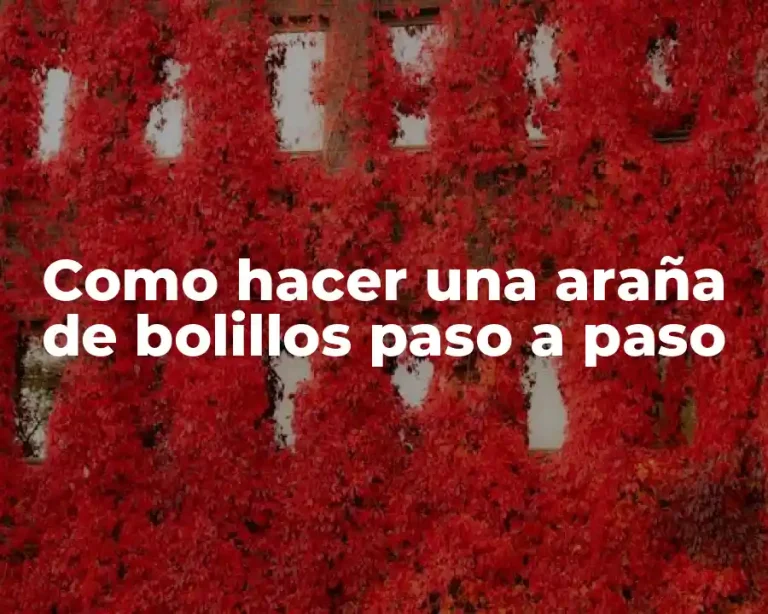 Como hacer una araña de bolillos paso a paso
