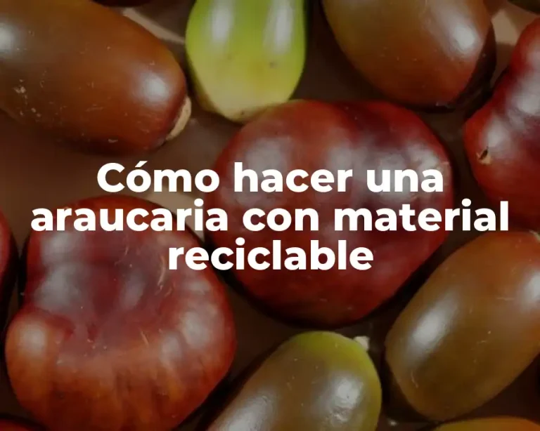 Cómo hacer una araucaria con material reciclable