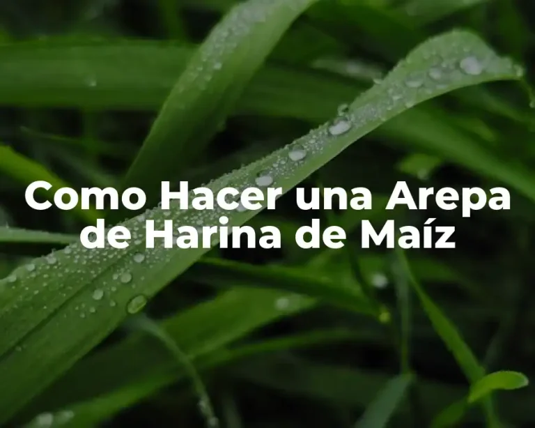 Como Hacer una Arepa de Harina de Maíz