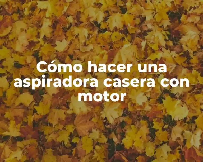 Cómo hacer una aspiradora casera con motor