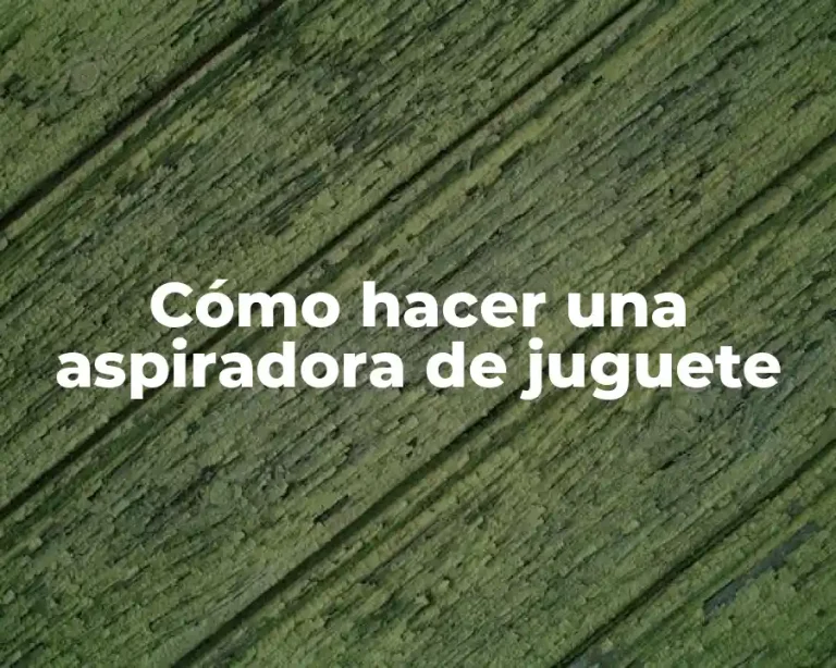 Cómo hacer una aspiradora de juguete