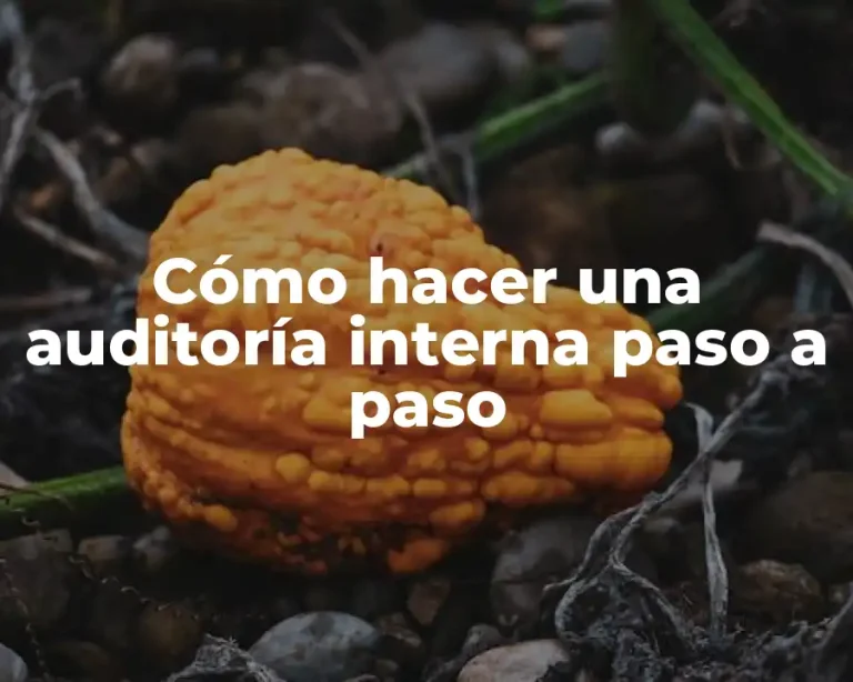 Cómo hacer una auditoría interna paso a paso