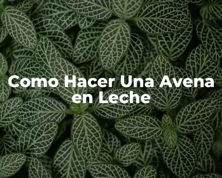 Como Hacer Una Avena en Leche