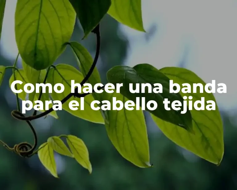 Como hacer una banda para el cabello tejida