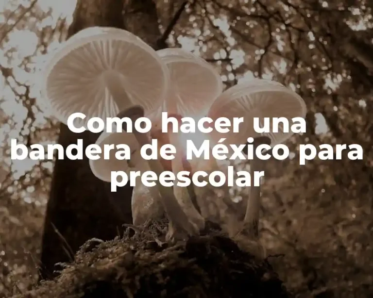 Como hacer una bandera de México para preescolar