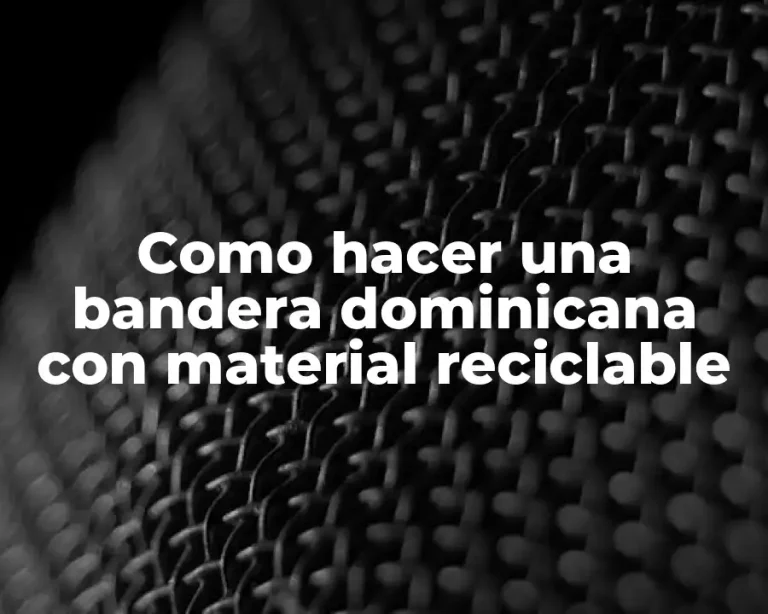 Como hacer una bandera dominicana con material reciclable