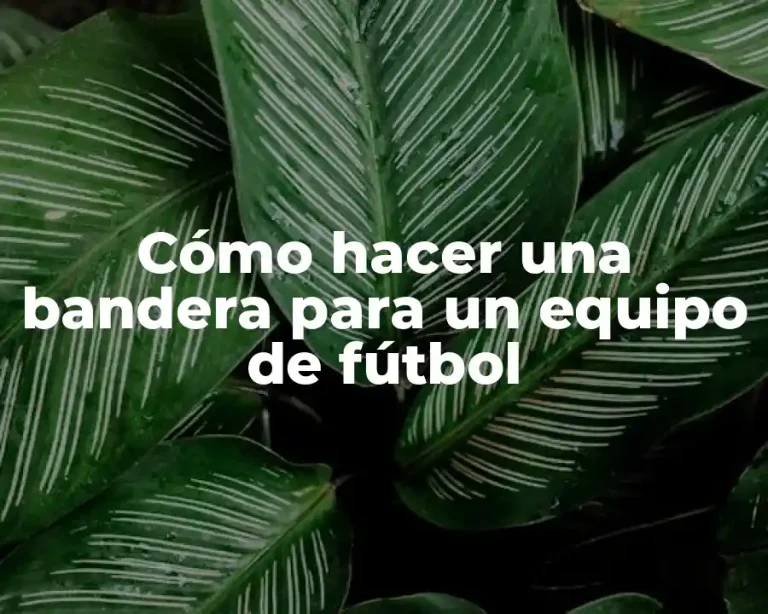 Cómo hacer una bandera para un equipo de fútbol