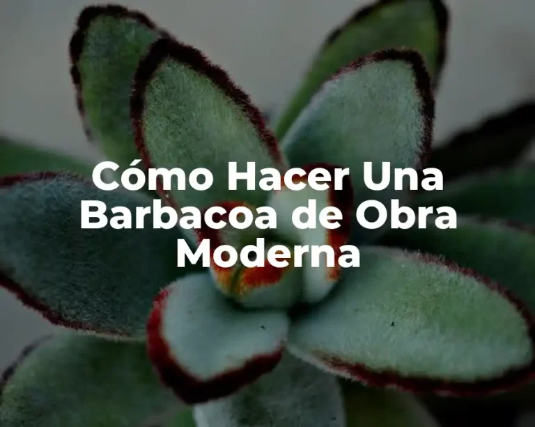 Cómo Hacer Una Barbacoa de Obra Moderna