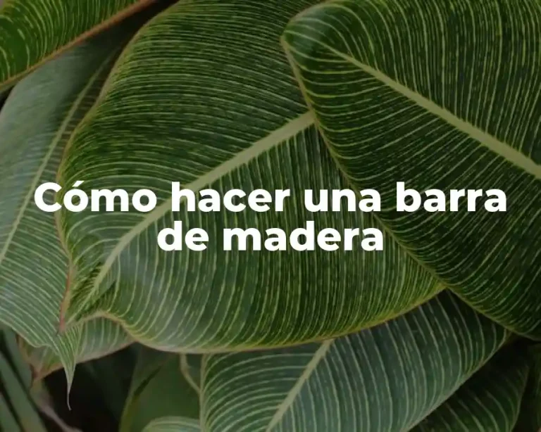 Cómo hacer una barra de madera