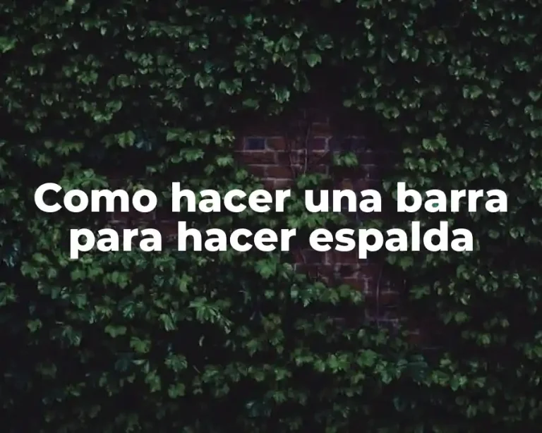 Como hacer una barra para hacer espalda