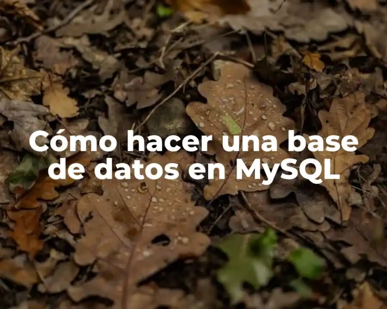 Cómo hacer una base de datos en MySQL