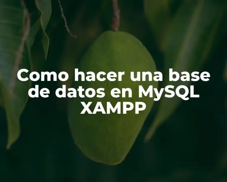 Como hacer una base de datos en MySQL XAMPP